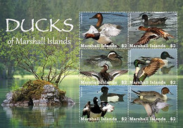 Marshall Islands   2022 Birds Ducks Of Marshall Islands Sheetlet Of 6 I202210 - Marshall