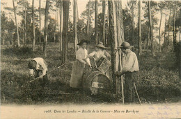 Dans Les Landes * La Récolte De La Gemme * La Mise En Barrique * Résiniers - Andere & Zonder Classificatie