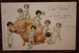 AK CPA 1903 Viel Glück Neujahr Glückwünsche Kinder Schwein Litho Pâques Enfants Heiligenstein - Autres & Non Classés