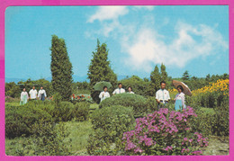 281316 / North Korea - Les Travailleurs Au Jardin Des Plantes De La Ville De  Weunsan Wonsan Pyongyang PC Nordkorea - Korea (Nord)