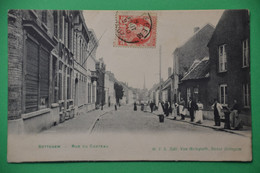 Sottegem 1907: Rue Du Château Très Animée. Superbe - Zottegem