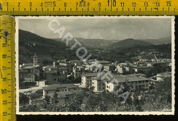 Arezzo Pieve S. Stefano Panorama Parziale (foto) - Arezzo