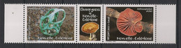 NOUVELLE CALEDONIE - 2022 - N°Yv. 1416 à 1417 - Champignons - Neuf Luxe ** / MNH / Postfrisch - Nuovi