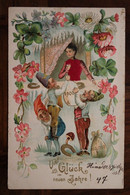 AK CPA 1903 Bonne Chance De Nouvel An Félicitations Nain Lutin Blümen Alsace Alsace Cpa Gaufrée - New Year