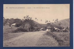 CPA Nouvelle Calédonie New Calédonia Océanie Non Circulé Canala - New Caledonia