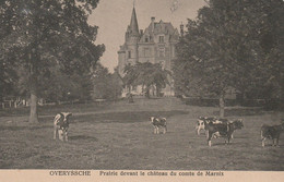 Overijse / Overyssche : Prairie Devant Le Château Du Comte De Marnix - Overijse