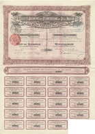 Titre De 1910 - Société Anonyme Des Plantations De Deli-Moeda - Deli-Moeda Plantagen Maatschappij - - Asie