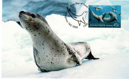 Australian Antarctic Territory 2001 Leopard Seals,Leopard Seal ,maximum Card - Cartoline Maximum
