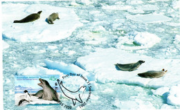 Australian Antarctic Territory 2001 Leopard Seals,Leopard Seal Group,maximum Card - Maximumkarten