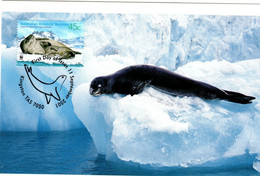 Australian Antarctic Territory 2001 Leopard Seals,Leopard Seal On Iceberg,maximum Card - Tarjetas – Máxima