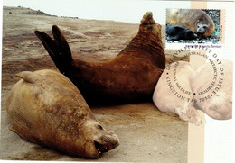 Australian Antarctic Territory 1992 Wildlife Serie I,Elephant Seal,maximum Card - Maximumkaarten