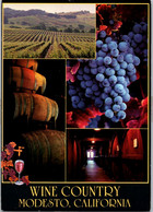 (2 L 5) (OZ/PF) USA - Wine Country - Modesto - California (with Wine Barels / Cuve à Vin / Tonneaux) - Vignes