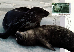 Australian Antarctic Territory 1992 Wildlife Serie I,Weddell Seal,maximum Card - Cartes-maximum