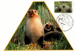 Australian Antarctic Territory 1993 Wildlife Serie II,Fur Seals,maximum Card - Maximumkarten