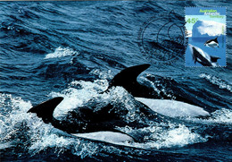 Australian Antarctic Territory 1995 Whales And Dolphins,Hourglass Dolphin,maximum Card - Maximumkarten