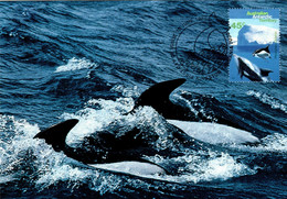 Australian Antarctic Territory 1995 Whales And Dolphins,Hourglass Dolphin,maximum Card - Cartes-maximum