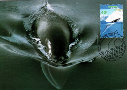 Australian Antarctic Territory 1995 Whales And Dolphins,Minke Whale,maximum Card - Maximumkarten