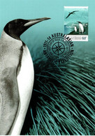 Australian Antarctic Territory 2011 Antarctic Expedition,1911 Departure And Jurney,King Penguin In Tussock Grass - Cartes-maximum