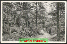 HOLTEN Holterberg Het Niemendal Ca 1935 - Holten