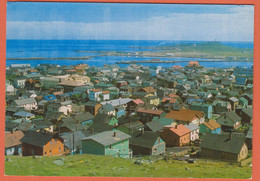 SAINT PIERRE ET MIQUELON - SAINT PIERRE - LE CENTRE DE LA VILLE - Maisons De Différentes Couleurs - CPM  Grand Format - Saint-Pierre-et-Miquelon