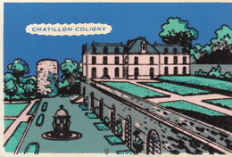 Chatillon Coligny  , Carte Velours , Couleurs Plus Vives Que Scan    ///   Ref. Oct. 22 // BO. SM. N° 10 - Chatillon Coligny