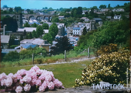 Tavistock - Dartmoor