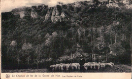 Rochefort  Le Chemin De Fer De La Grotte De Han - Les Rochers De Faule - Rochefort