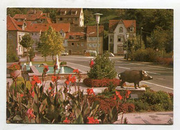 AK 080930 GERMANY - Eberbach - Kuranlage Neckarbrücke - Eberbach