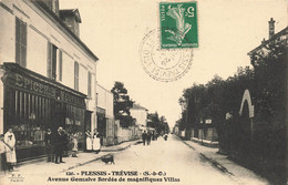 94 - VAL DE MARNE - LE PLESSIS-TRÉVISE - Avenue Gonzalve Bordée De Magnifiques Villas - 10551 - Le Plessis Trevise