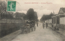 94 - VAL DE MARNE - LE PLESSIS-TRÉVISE - Avenue Gonzalve - Attelage D'ânes, Animation - 10552 - Le Plessis Trevise