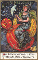344637-Halloween, Unknown No B37-5, Witch Flying JOL Lighted Pumpkin Broom - Halloween