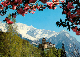 CPM- Liechtenstein- Schloss VADUZ - Belle Flamme  * SUP*Scan Recto/Verso - Liechtenstein