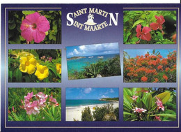 CP SAINT-MARTIN - Sint-Marteen