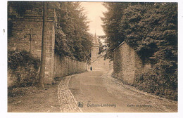 B-9128   DOLHAIN - LIMBOURG : Entree De Limbourg - Limburg