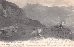 BERGLANDSCHAFT - AU REPOS - CROQUIS ALPESTRE ~ A VINTAGE POSTCARD #2233136 - Altri & Non Classificati