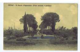 IMOLA - R. SCUOLA D'AGRICOLTURA - VIALE CENTRALE E GIARDINO -  SPEDITA - 1910s (12338) - Imola