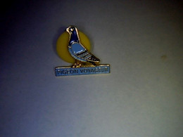 Pin's Avec Fermoir Association Colombophile Pigeon Voyageur - Associations