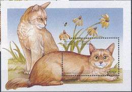 Comores 1999 Cats Chats  MNH - Other & Unclassified