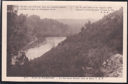 35 - Forêt De Paimpont -  Le Val Sans Retour Vers Le Banc - Paimpont