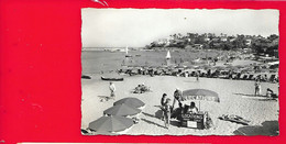 CAVALAIRE Sur MER Location De Parasols à La Plage (Ryner) Var (83) - Cavalaire-sur-Mer