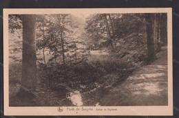 ✅ CPA FORET DE SOIGNES Vallon Du Vuylbeek Ed. NELS  Edition Du Foyer Des Orphelins  9x14cm #944005 - Forêts, Parcs, Jardins