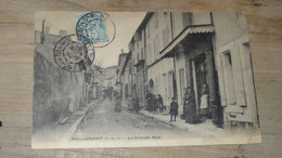 MALLEMORT : La Grande Rue ............ S-11476 - Mallemort