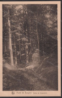 ✅ CPA FORET DE SOIGNES  Vallon De Diependelle Ed. NELS  Edition Du Foyer Des Orphelins  9x14cm #944014 - Bossen, Parken, Tuinen