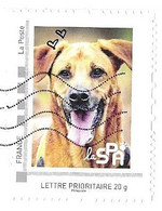 COLLECTORS CHIEN DE LA SPA - FLAMME LA POSTE 2022, VOIR LES SCANNERS - Collectors