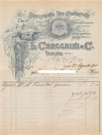 014450 "TORINO - L. CHECCHINI & C. - STABILIMENTO TIPO-LITOGRAFICO-INCISIONI-CROMOLITOGRAFIA-ZINCOTIPIA" 1906 DOC. COMM. - Pubblicitari