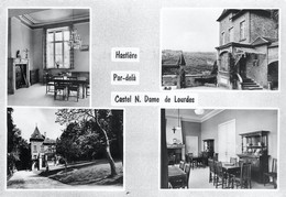 CPSM Hastière-Par Delà-Castel Notre Dame De Lourdes-Timbre    L1818 - Hastière