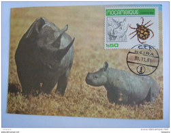 Mozambique Moçambique 1981 Insectes Tiques Rhinoceros Neushoorn Yv 732 Sur Carte Cachet Beira - Rhinozeros