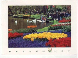 G *  Keukenhof  * - Lisse