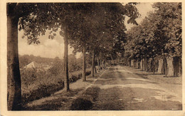 CPA -   LA  MOTHE - SAINT - HERAY  (79)  Le Parc -  1958 - La Mothe Saint Heray