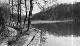 JALLIEU (Isère) - Etang De Rosière - Jallieu